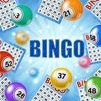 bingo lottery game